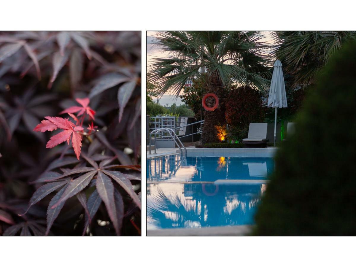 Anthodi Hotel Stavros  Exterior photo